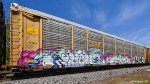 TTGX 988038